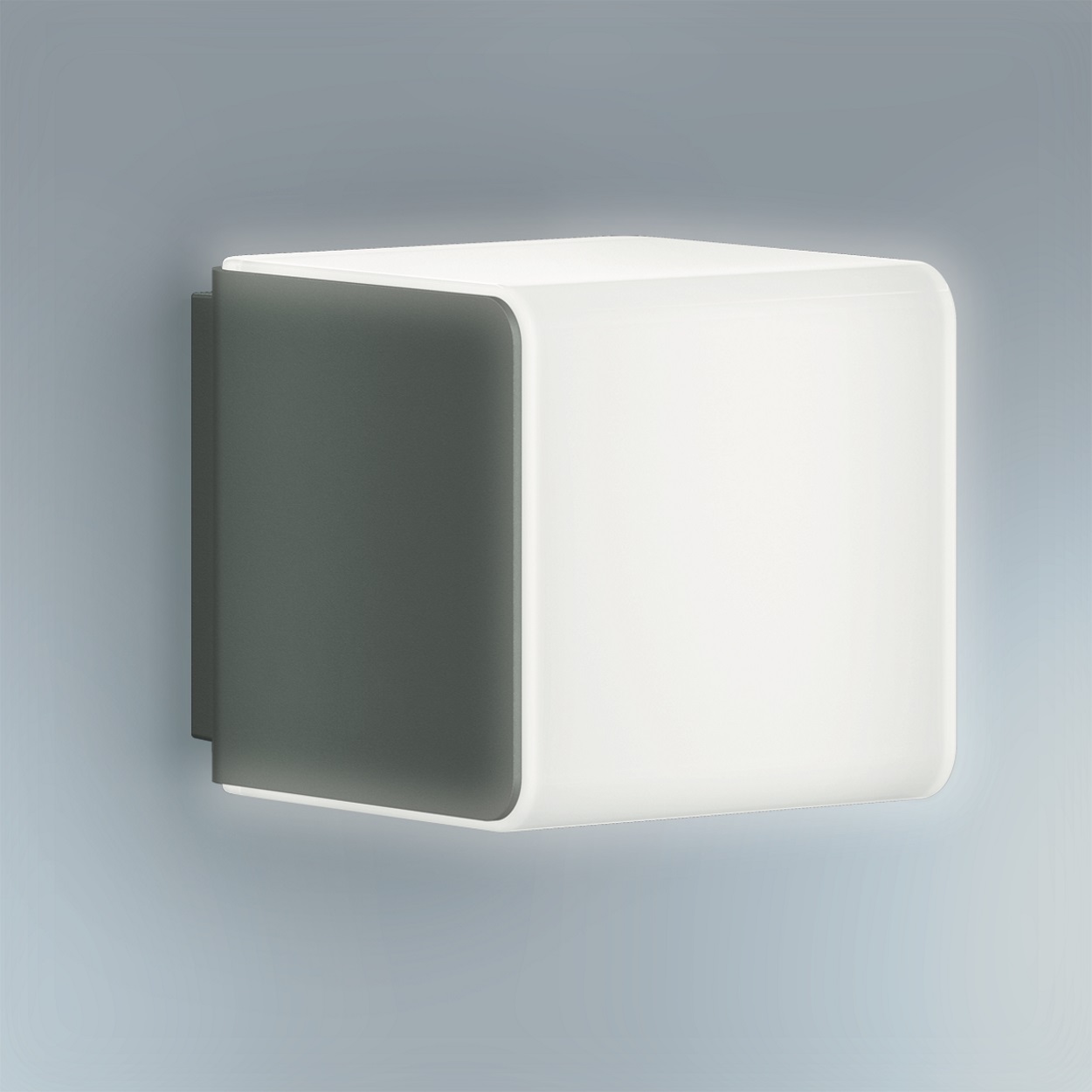 Luce principale e di base regolabile (10–100%)