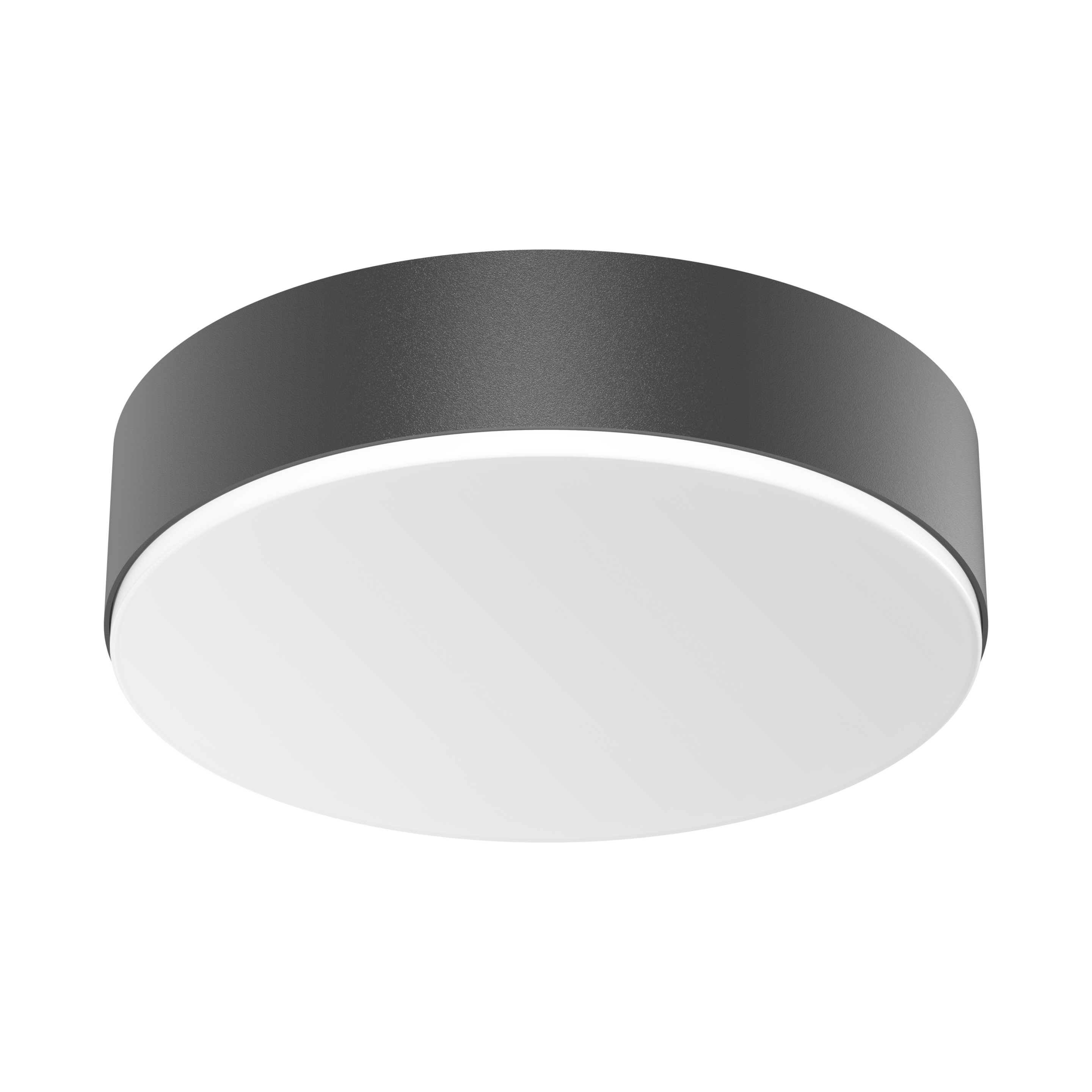 Steinel RS PRO A20 SC warm white anthracite