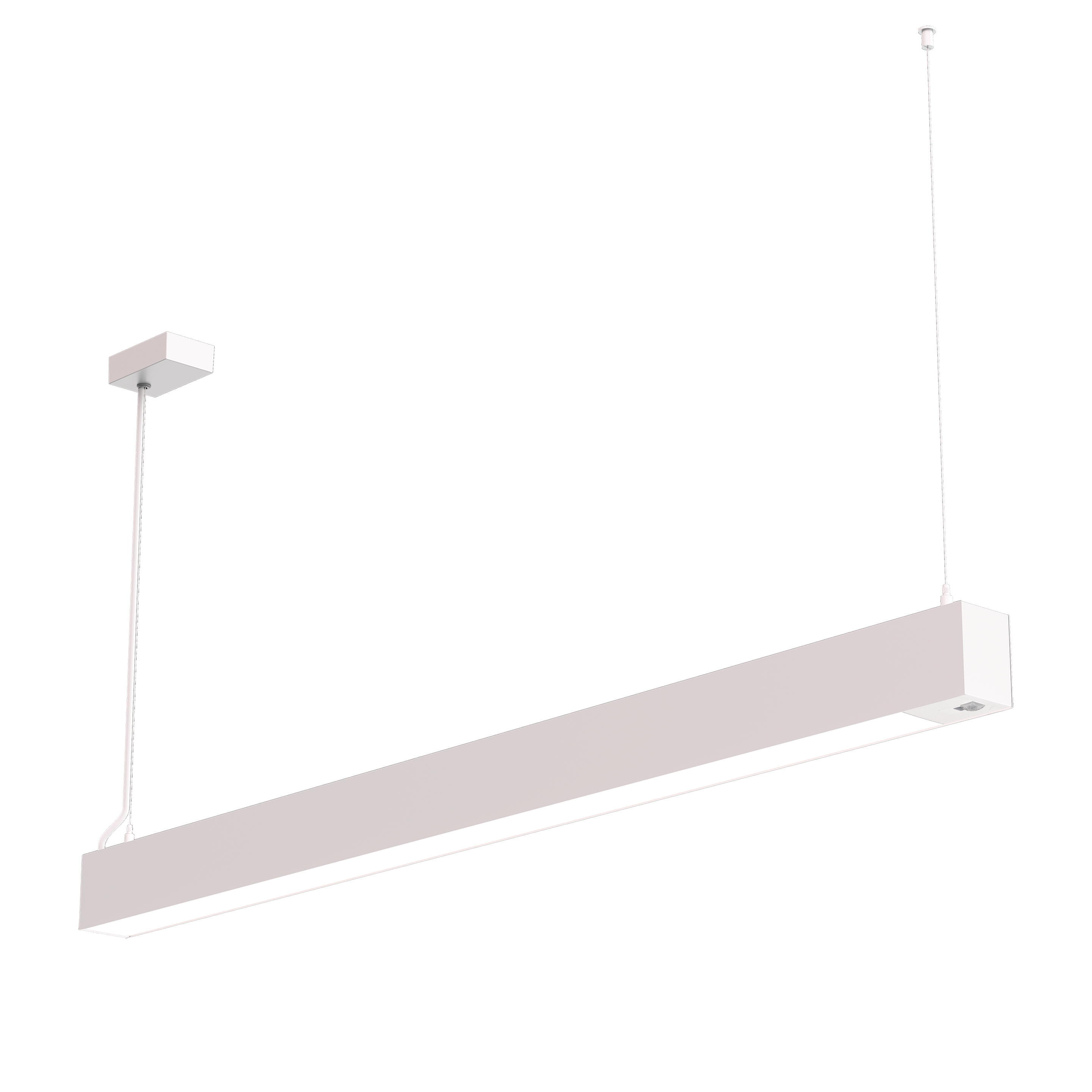 Nevalux lisha V2 connect PIR P1500 4K