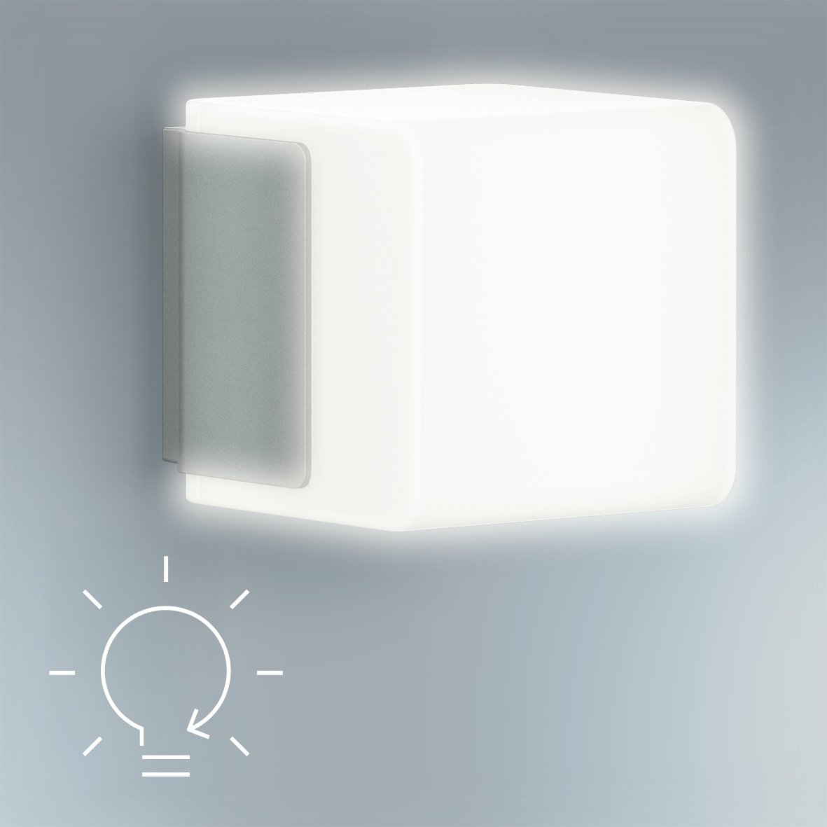 Continuous light individually switchable (optional)