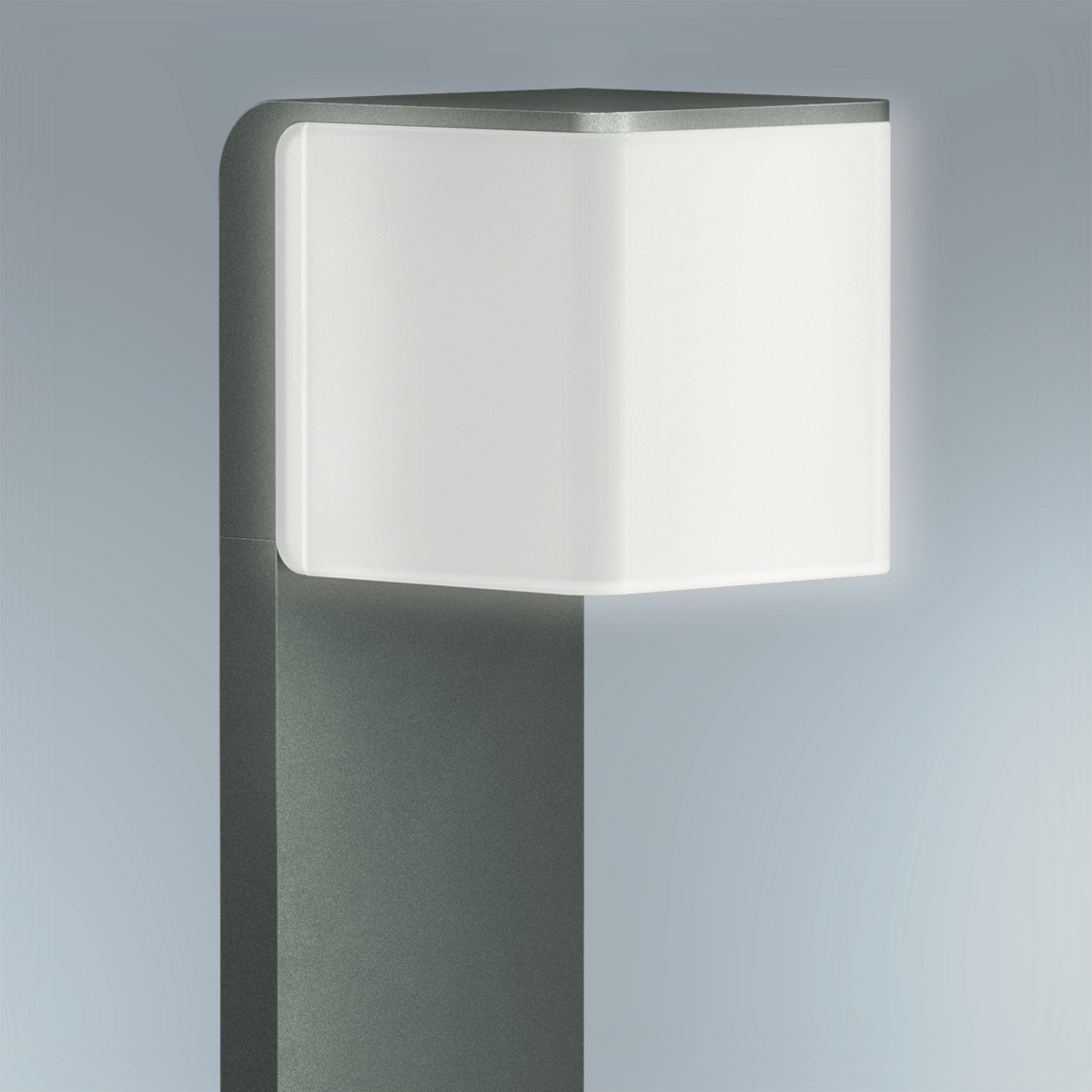 Luce principale e di base regolabile (10–100%)
