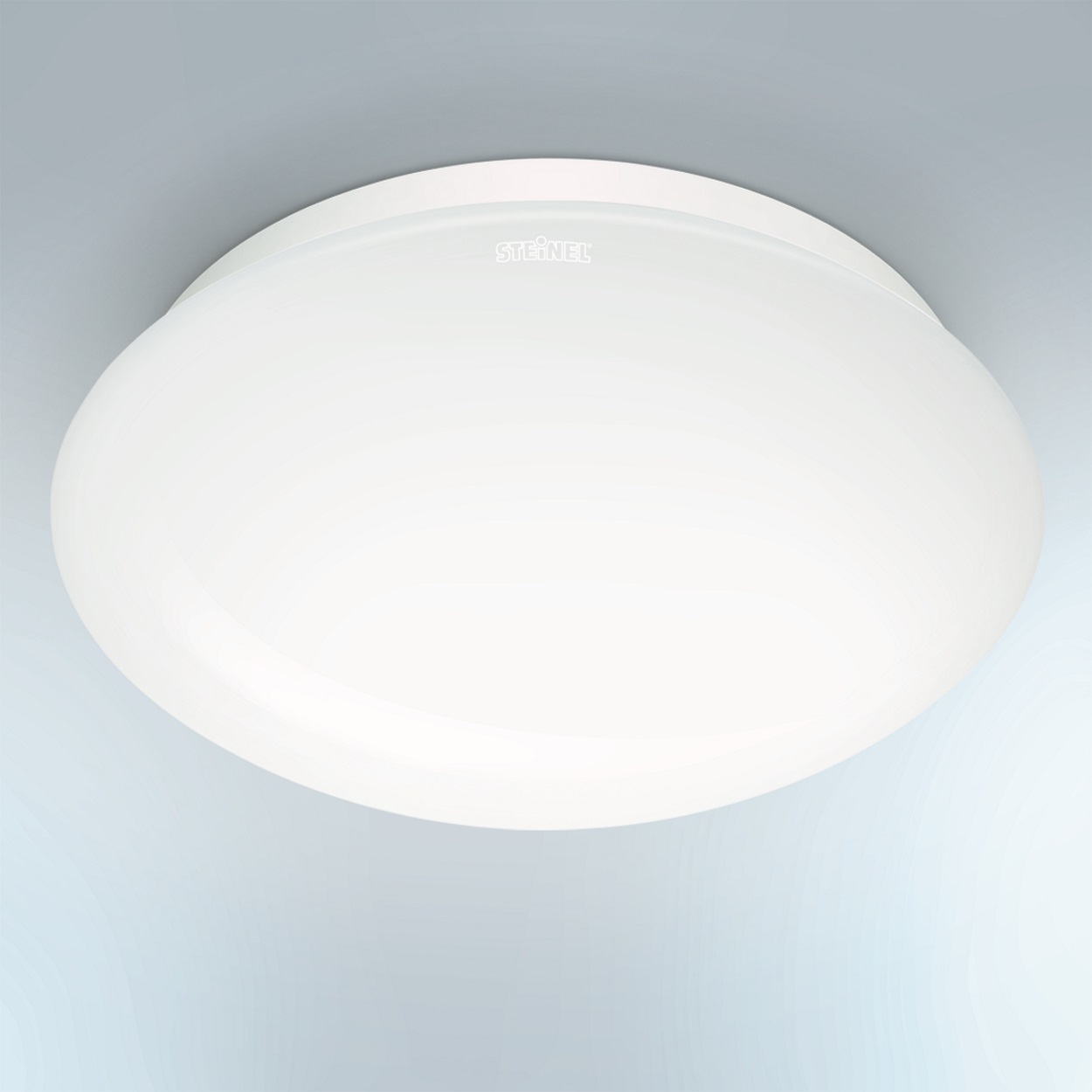 Luminosità di base optional 10%