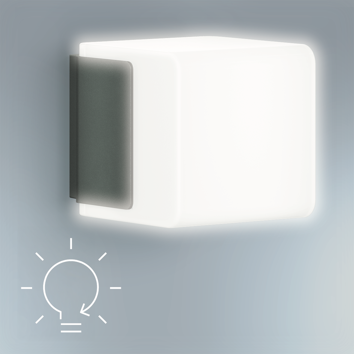 Dauerlicht individuell schaltbar (optional)